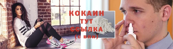 сатива Абаза