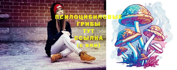 сатива Абаза