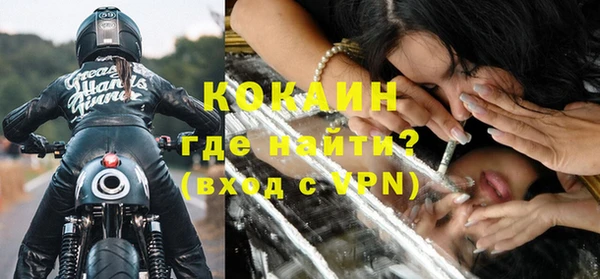 сатива Абаза