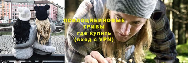 PSILOCYBIN Абинск