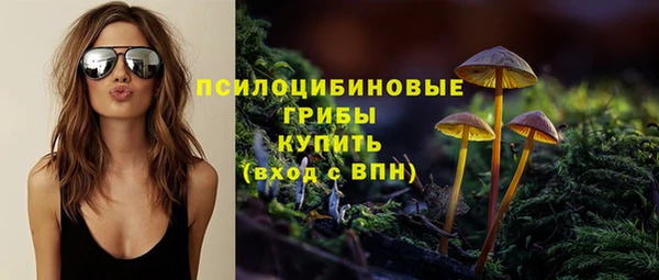 PSILOCYBIN Абинск